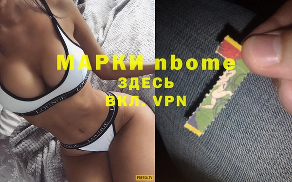 стаф Абаза